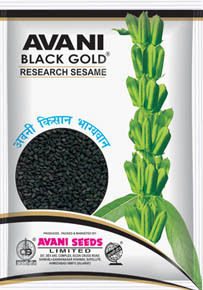 Research Sesame (AVANI BLACKGOLD)