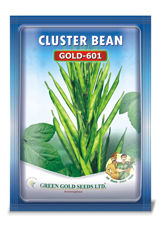 Cluster Bean