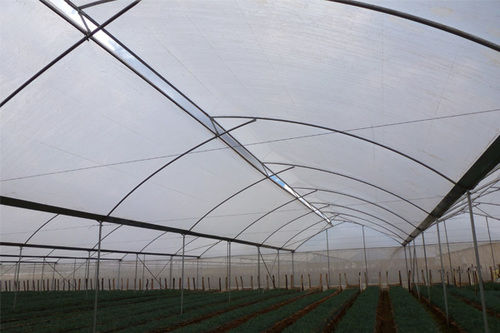 Crop Cover And Tunnels