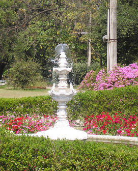 Green Fountains