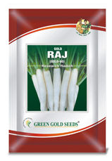 Radish Seeds - High Germination Rate, Nutrient-Dense Edible Plants for Salads and Leafy Dishes