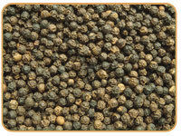 Black Pepper 