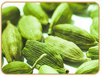 Cardamom