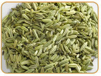 Fennel Seeds