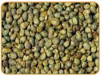 Green Millets Bajra