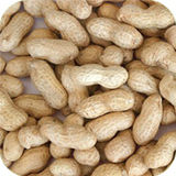 Groundnut