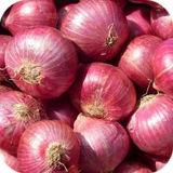 Onion