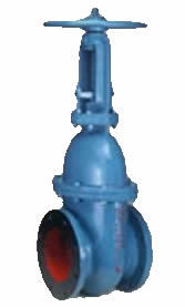 Rising Spindle Gate Valve