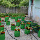 Terrace Gardening Green Grow Bag