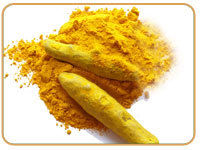 Turmeric