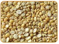 Urad Dal - Premium Quality Black & White Pulses | High Nutritional Value, Multiple Packaging Options