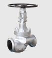 Bellow Seal Valve