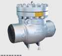 Swing Check Valve