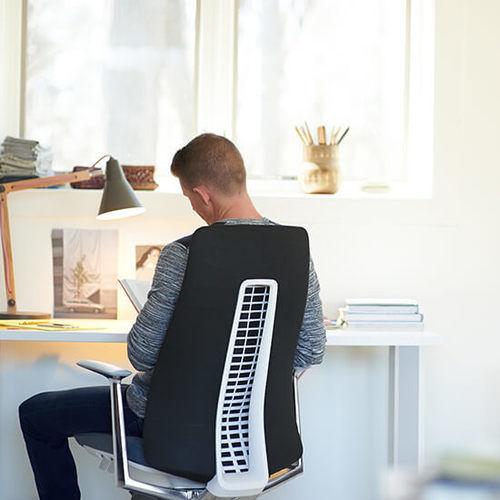 Desk Chairs