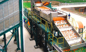 orange citrus juice production line 
