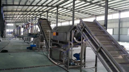 purple sweet potato processing line 