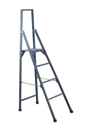 Folded Ladders (Type Dssp)