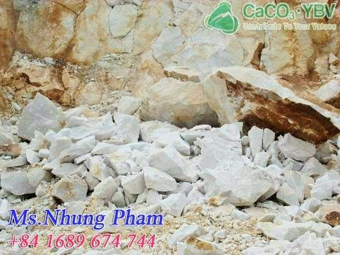 Vietnam Calcium Carbonate Over 98% Caco3 For Paint Industry