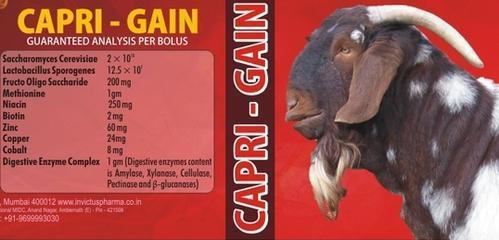 Capri Gain Probiotic Vet Supplement