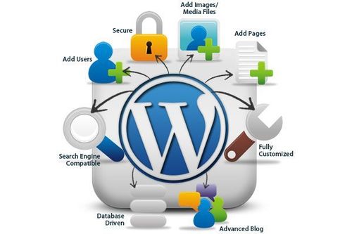 Cms Based Service