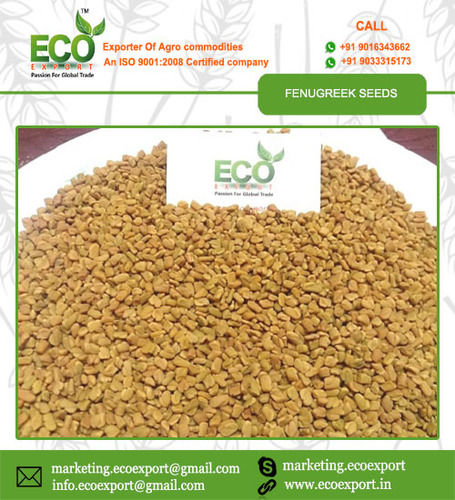 Yellow Fenugreek Seed