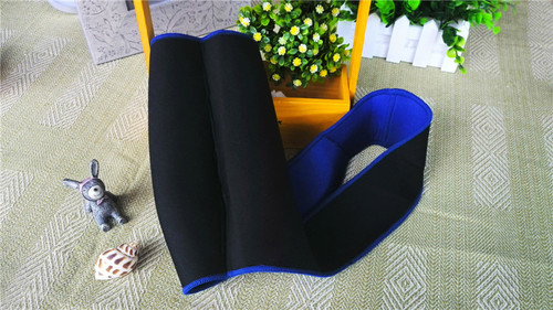 ब्लू हेल्थ शोल्डर प्रोटेक्टर 2016