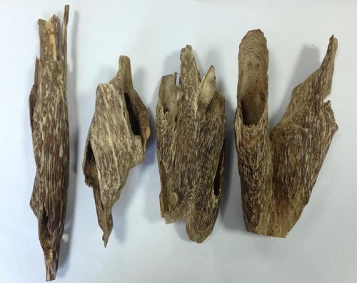 Agarwood chips By Vietnam Aquilaria Corporation