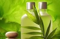 Aloevera Hair Shampoo