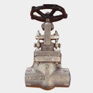 Forged Steel Gate Valve