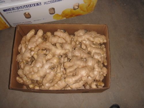 Wholesale Organic Ginger