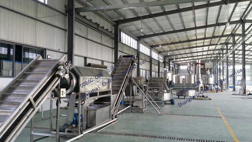 potato processing equipment