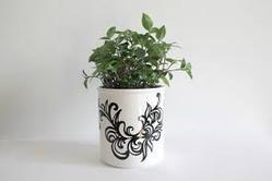 Designer Flower Pots - Durable Plastic, Mini & Square Deep Sizes | Trendy, Attractive & Timely Delivery