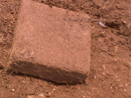 Cocopeat Block 5 Kg