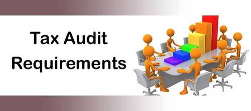 Any Company Audit And Tax Service