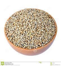 Pearl Millet