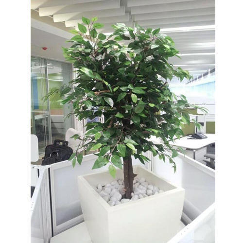 Ficus Light Weight Artificial Trees