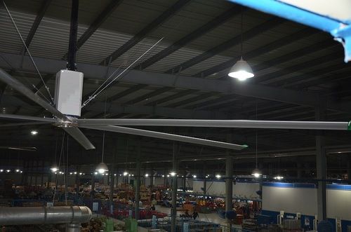 Poplin Hvls Fan