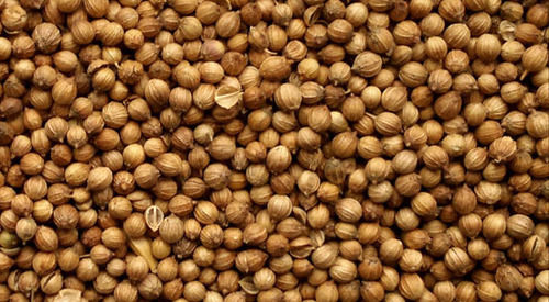 Dhania Seed (Coriander)