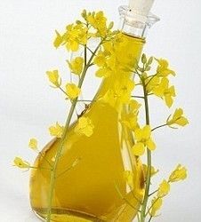 Refined Rapeseed Oil