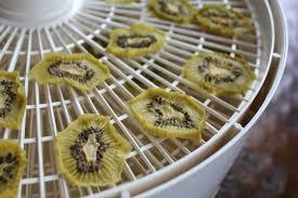 Dehydrated Kiwi