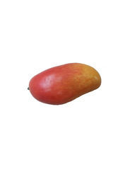 Artificial Shaded Mango