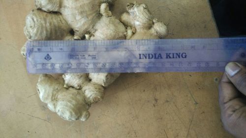 Assam Organic Fresh Ginger