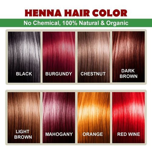 Chestnut Henna - Natural Herbal Hair Color Powder with Exotic Brown Hue, Includes Henna and Amla for Silkiness and Manageability