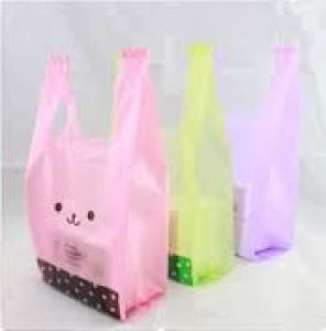 Non Woven Plastics Bag