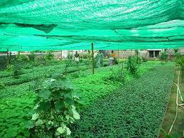 Agro Shed Net
