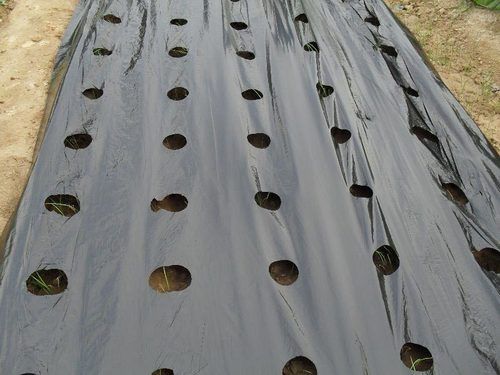 Mulching Film