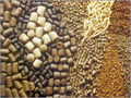 Cattle Feed Additives