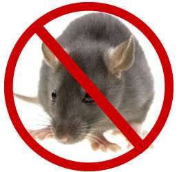 Pest And Rodent Control Service