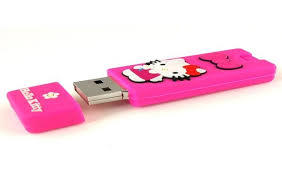 Silicone Pen Drive