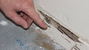 Termite Control Services